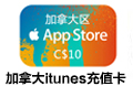 加拿大苹果Apple itunes gift card$ 100 充值卡 礼品卡